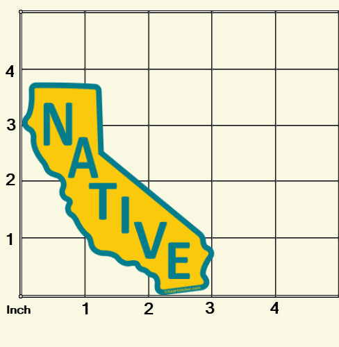 The Dazzling Diversity Of Beetles In California - Foto 7