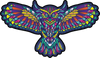 Sticker | Kaleidoscope Owl | Color - The Heart Sticker Company
